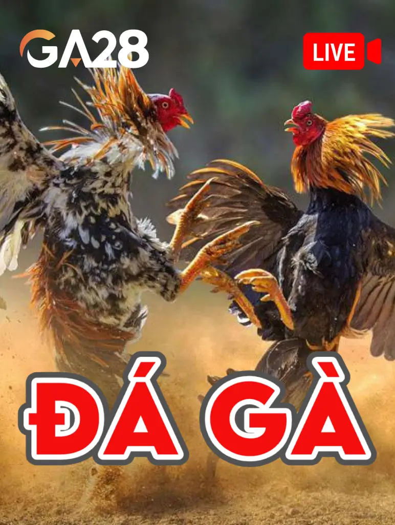 MBET Đá Gà GA28